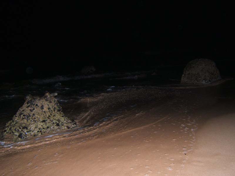 DSCF8620
