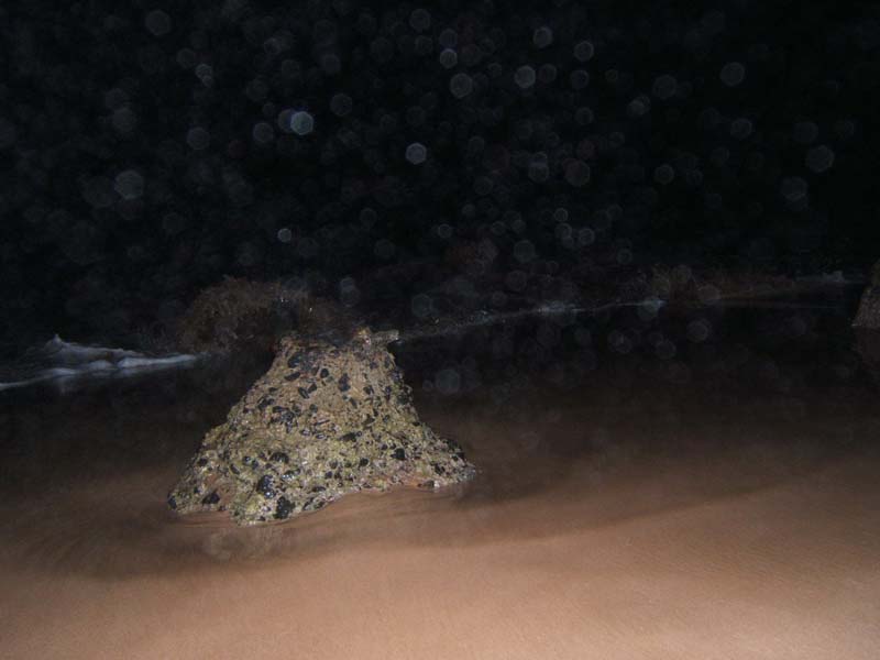 DSCF8621