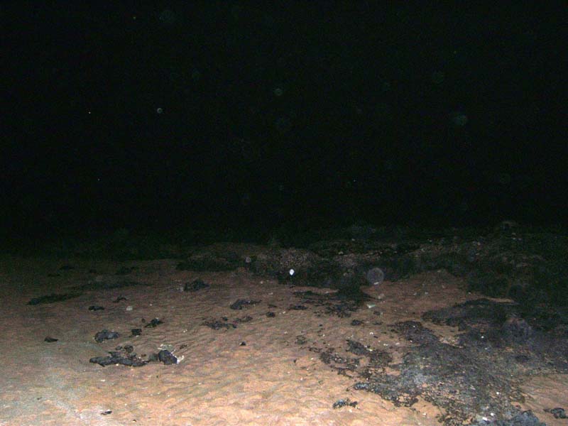 DSCF8627