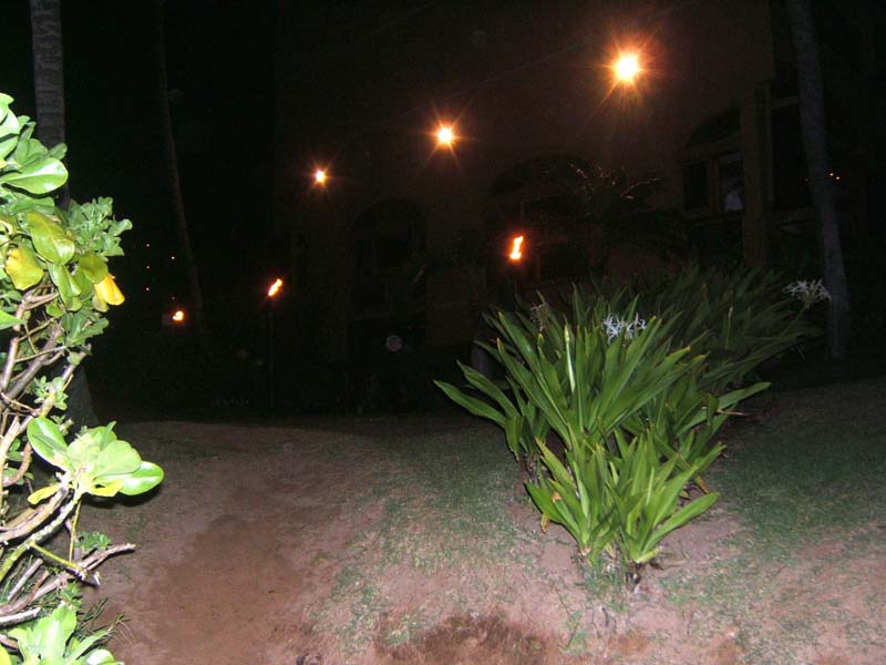 DSCF8628