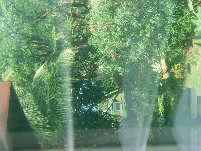DSCF8703