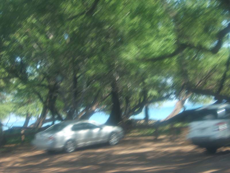 DSCF8854
