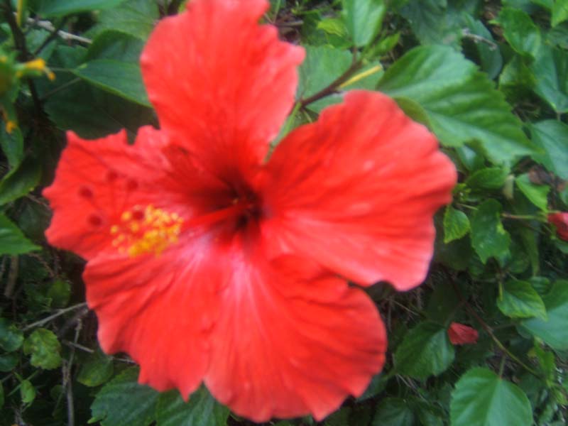 DSCF8942
