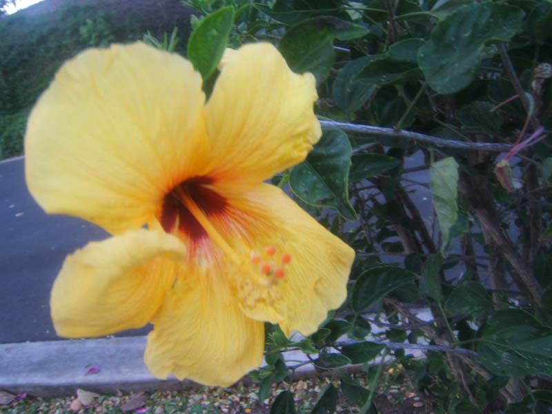 DSCF8943