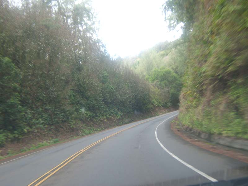 DSCF9176