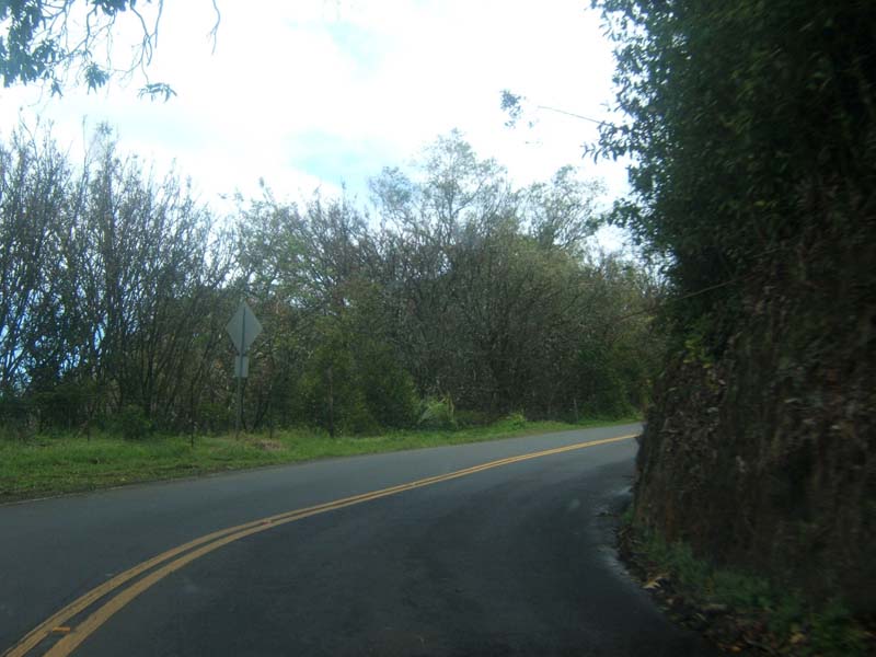 DSCF9184