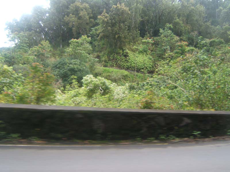 DSCF9200