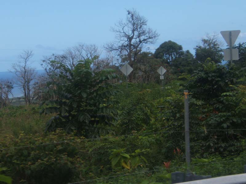 DSCF9266